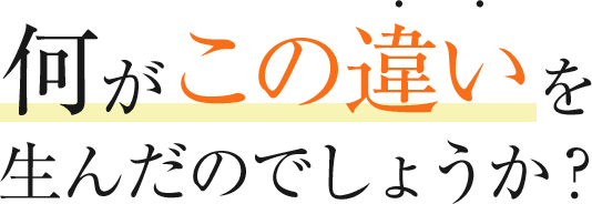 何がこの違いを生んだのでしょうか？